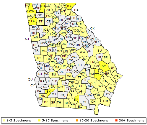 The range of Hamamelis virginiana